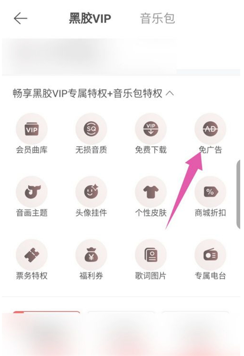 網(wǎng)易云音樂包和黑膠vip有什么區(qū)別