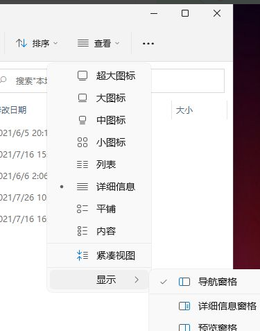 Win11怎么顯示隱藏的文件？Win11顯示隱藏文件的方法
