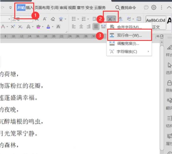 Word文檔中怎么設(shè)置雙行合一