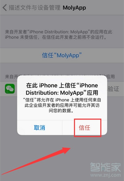 蘋(píng)果12pro max可以微信分身嗎