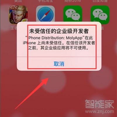 蘋(píng)果12pro max可以微信分身嗎