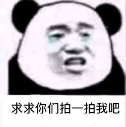 微信拍一拍可以加后綴嗎？當(dāng)然！創(chuàng)意搞笑后綴弄起來！