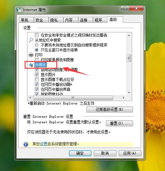 Win7電腦網頁顯示無法加載插件怎么辦？