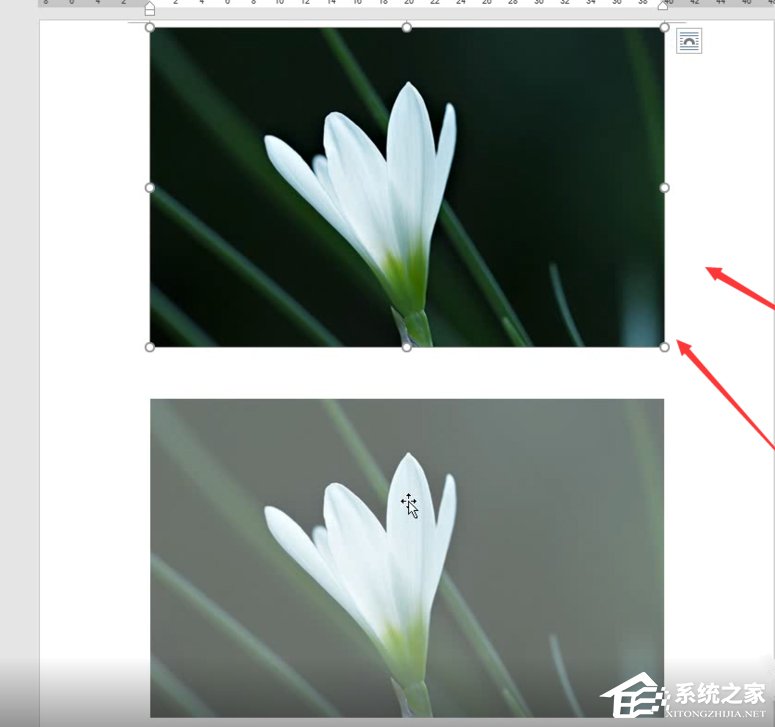 Word如何制作雙重曝光特效？制作雙重曝光特效的方法