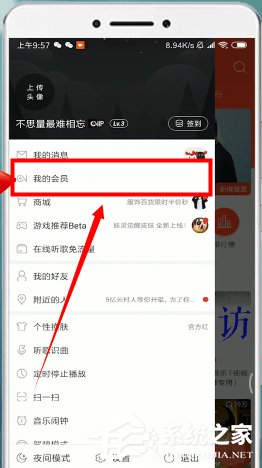 網(wǎng)易云音樂(lè)如何取消自動(dòng)續(xù)費(fèi)?網(wǎng)易云音樂(lè)取消自動(dòng)續(xù)費(fèi)的方法