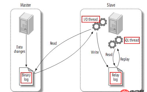 mysql - sql數(shù)據(jù)還原