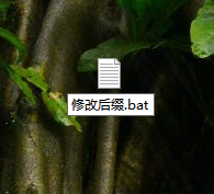 Win10電腦怎么修改文件的后綴名？Win10電腦修改文件后綴名的方法