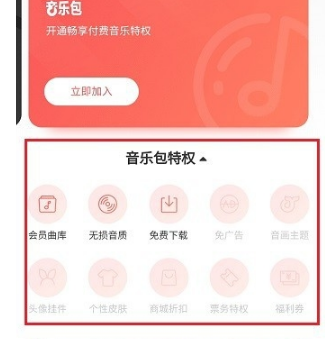 網(wǎng)易云音樂黑膠vip和音樂包有什么區(qū)別 黑膠vip和音樂包性價(jià)比對(duì)比