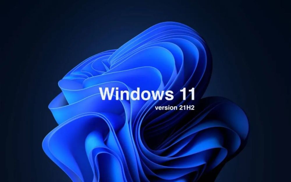 Win11文件管理器卡頓反應(yīng)慢怎么辦 Win11文件管理器卡頓解決方法匯總