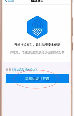 淘寶設(shè)置指紋支付圖文操作