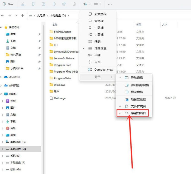 windows11查看隱藏項(xiàng)目技巧分享