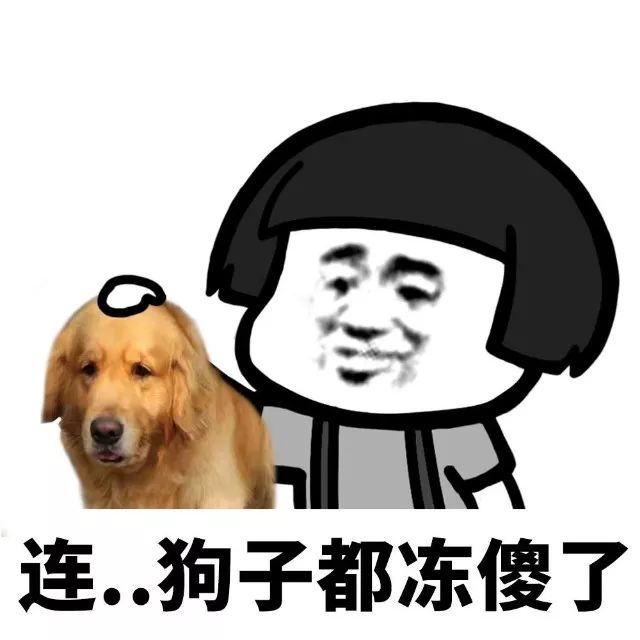 抖音我家床塌了停水了停電了表情包是什么？抖音我家床塌了表情包介紹！