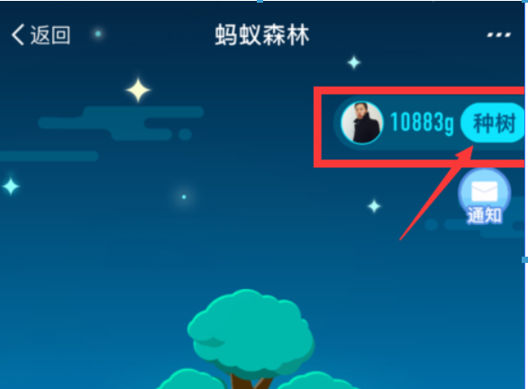 支付寶螞蟻森林環(huán)保證書(shū)如何領(lǐng)??？螞蟻森林環(huán)保證書(shū)領(lǐng)取攻略介紹！