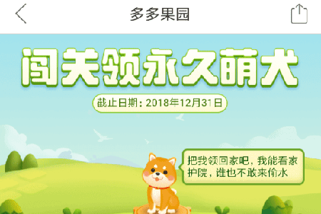 拼多多果園如何養狗？ 果園養狗方法攻略介紹！