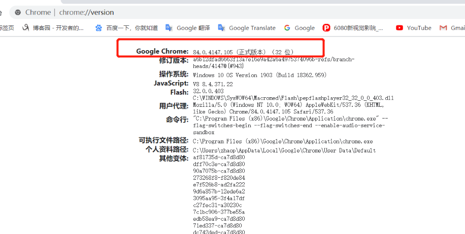 搭建 springboot selenium 網(wǎng)頁文件轉圖片環(huán)境的詳細教程