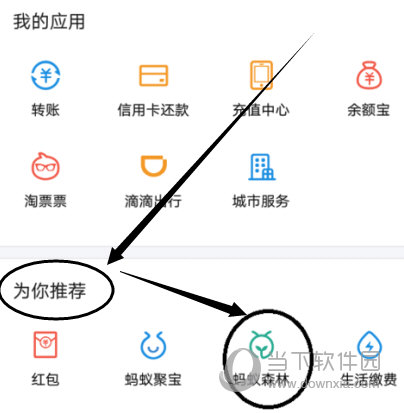 支付寶螞蟻森林怎么領(lǐng)取小樹苗 領(lǐng)取樹苗方法