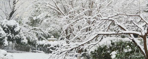 初雪發(fā)朋友圈句子 冬季第一場雪朋友圈文案