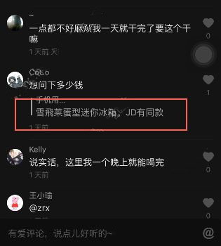 抖音迷你冰箱叫什么？在哪里能賣