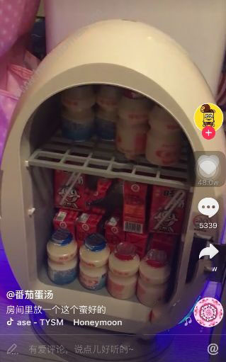 抖音迷你冰箱叫什么？在哪里能賣