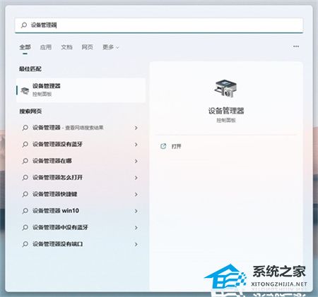 Win11不兼容的驅(qū)動程序怎么刪除？完美刪除Win11不兼容驅(qū)動程序方法