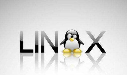 Linux是什么？它是哪個國家開發(fā)的
