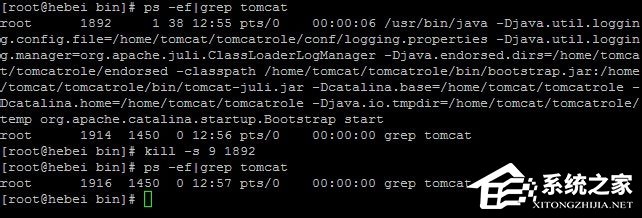 Linux系統如何查看和結束進程？