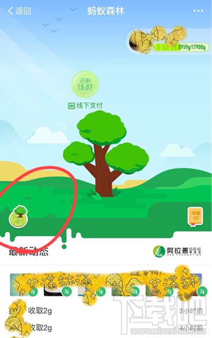 支付寶螞蟻森林螞蟻地圖自己的樹怎么找?