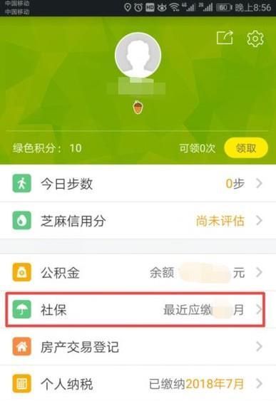 在哪里可以查到個人社保繳費信息?