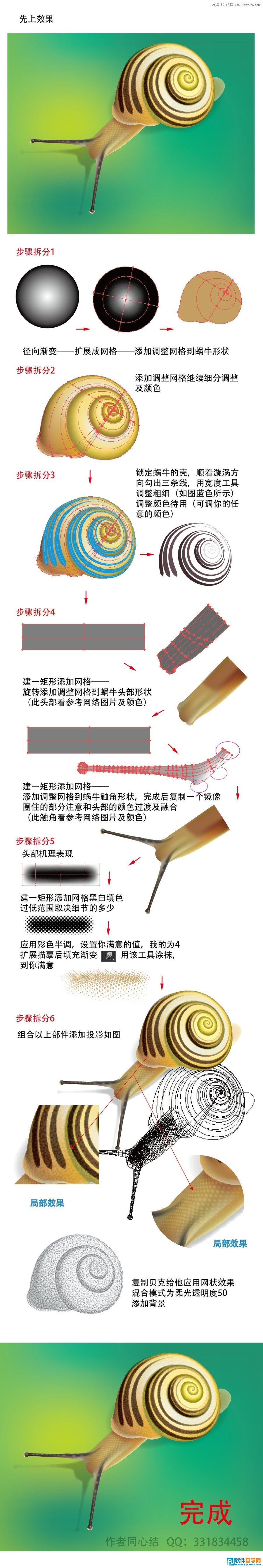 ai繪制卡通 蝸牛教程