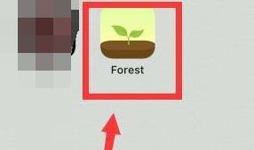 forest怎么一個人種樹