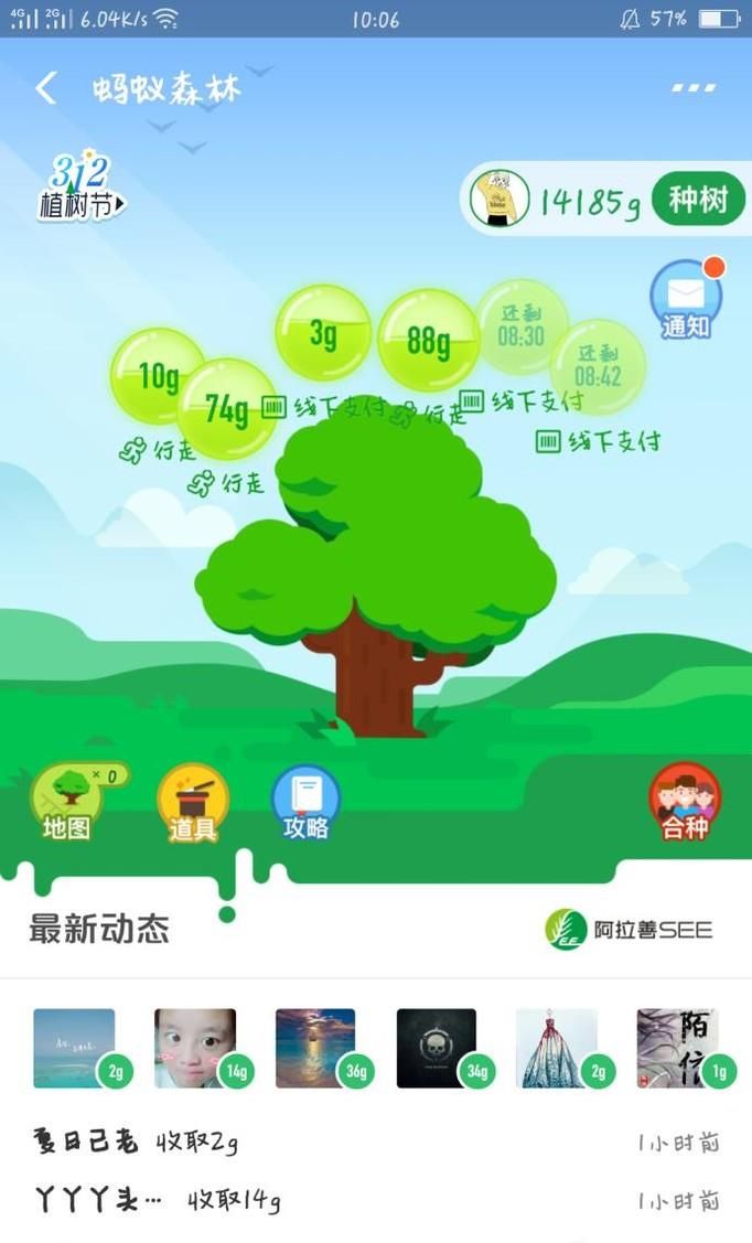支付寶螞蟻森林大樹養(yǎng)成了如何領(lǐng)取種苗