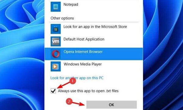 Win11如何更改默認打開方式？Win11更改默認打開方式的方法