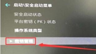 Win11安全啟動如何打開？Win11安全啟動打開的方法
