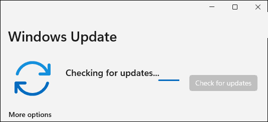 如何手動更新Windows11？手動更新Windows11方法教程