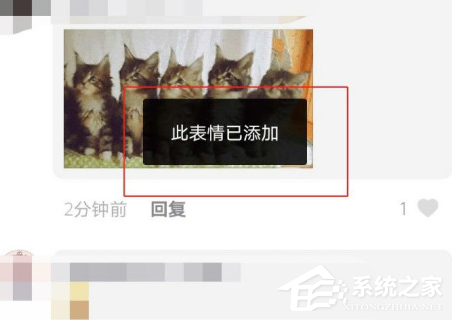 抖音貓咪搖頭蹦迪表情包怎么發?抖音5只貓點頭表情包下載