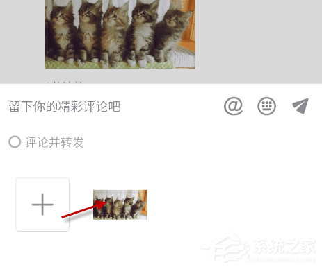 抖音貓咪搖頭蹦迪表情包怎么發?抖音5只貓點頭表情包下載