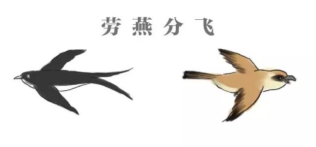 2021年5月10日支付寶螞蟻莊園答案是什么？螞蟻莊園小課堂5.10今日最新答案