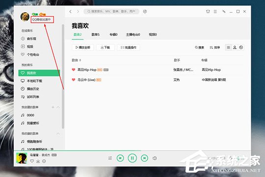 QQ音樂怎么看聽歌時長?QQ音樂查看聽歌時長的方法