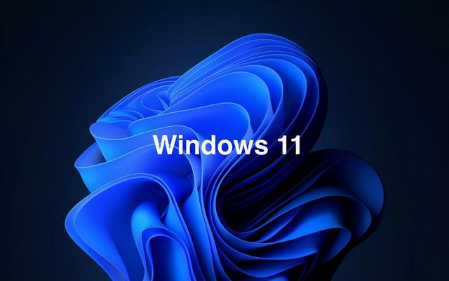 Win11專業(yè)版和家庭版哪個好用？Win11專業(yè)版和家庭版對比
