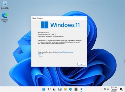 Win10可以免費(fèi)升Win11嗎?Windows10能夠免費(fèi)升級(jí)嗎?