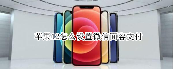 蘋果12怎么設(shè)置微信面容支付