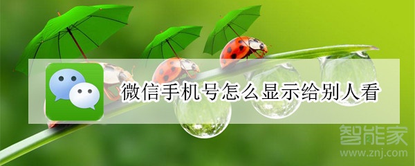 微信手機(jī)號怎么顯示給別人看