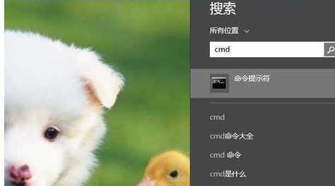 Win8系統如何進入dos界面?
