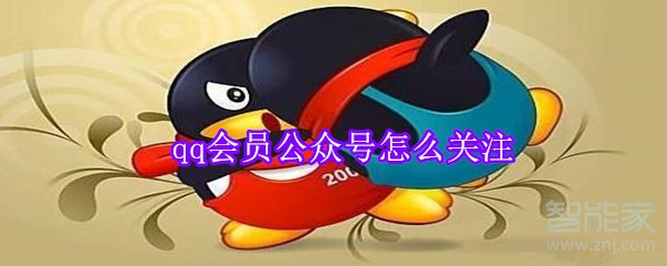 qq會員公眾號怎么關(guān)注
