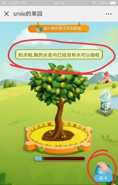 拼多多果園為什么不能偷朋友的水?多多果園種樹