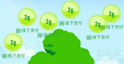 螞蟻森林幾點(diǎn)刷新樹苗