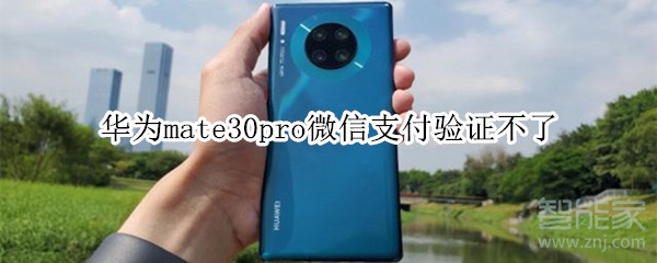 華為mate30pro微信支付驗(yàn)證不了