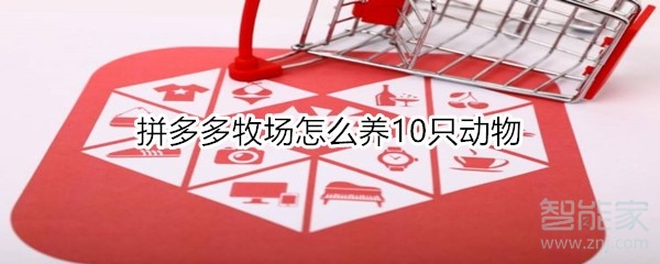 拼多多牧場怎么養(yǎng)10只動(dòng)物