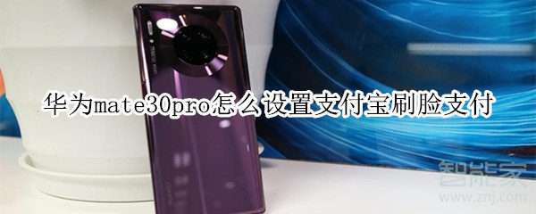 華為mate30pro怎么設(shè)置支付寶刷臉支付