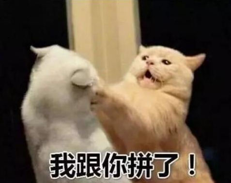 抖音新農合是什么意思?新農合干一架是什么梗